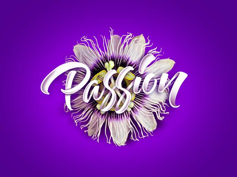 Passion hip hop music calligraphy art nature design graphic design illustration type lettering handlettering typography