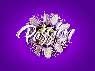 Passion art calligraphy design graphic design handlettering hip hop illustration lettering music nature type typography
