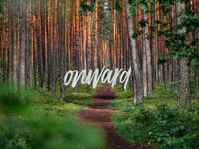 Onward calligraphy design graphic design handlettering illustration lettering nature typography