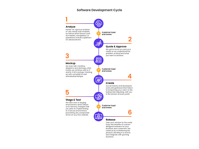 Software Development Cycle Infographic branding design illustration infographic design typography vector