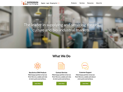 ExpressionSystems_HomePage_v1