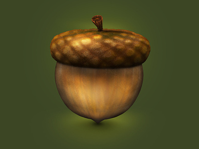 Acorn 3Dicon 3d 3dicon acorn forest harvest icon icondesign icondesigner illustration nature stock