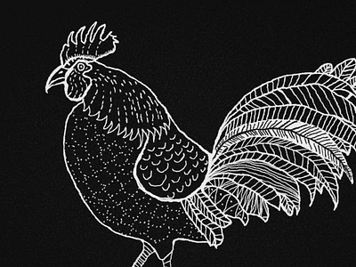 Coq chicken cock handdrawn pattern