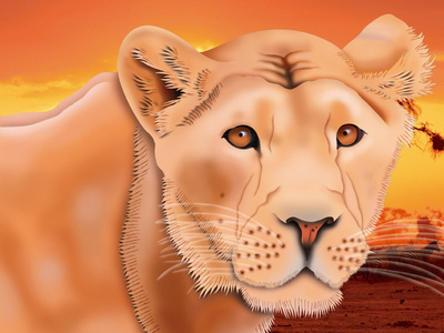 Lioness animation design illustration vector
