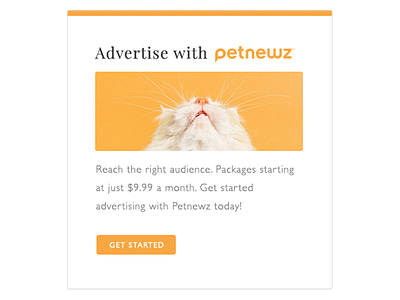 Advertisement for website design of Petnewz ad advertisement animal bright card design colorful flat minimal orange pet promotion white