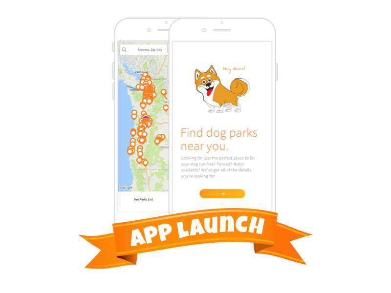 Park Bark App Launch by Slayter on Dribbble