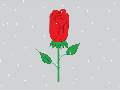 Red Rose adobe design icon illustration red rose rose ui vector