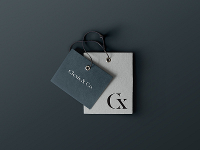 Clexis Logotype branding design identity logo