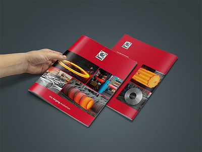 Frisa – Brochure branding design identity