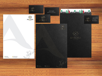 Branding for Ansora Design & Construction branding business card design design logo design web design web development