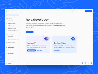 Hola Cash - Developer Portal blue dev portal purple ui