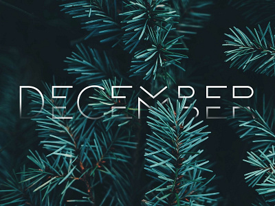 December design typography