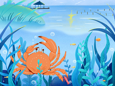 Crab package illustration design
