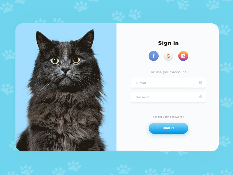 Cats Shop _ Sign In - Sign Up animal animation blue cat design interaction design login minimal pet petcare petshop shopping sign in sign up split screen ui ux web website