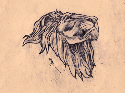 head up, shoulders back. animal art cat drawn handdrawn illustration king lion pencil portrait sketch wild