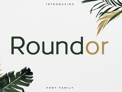 Roundor Font Family – Rounded Sans Serif Font