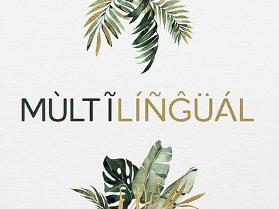 Roundor Font Family – Multilingual