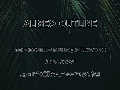 Aliseo Font Family - Sans Serif - Outline font free font free typeface free typography freebie illustration outline sans serif sans serif sans serif font typeface typeface design weight