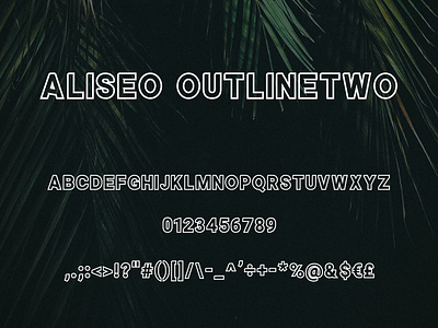 Aliseo Font Family - Sans Serif - Outline Two