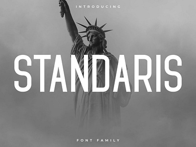 Standaris Font Family – Sans Serif Font