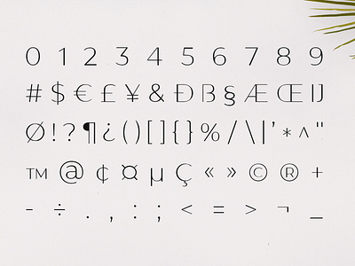 Gantic Font Family - Sans Serif - Numbers and Symbols