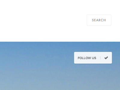 Follow us button button clean social ui website