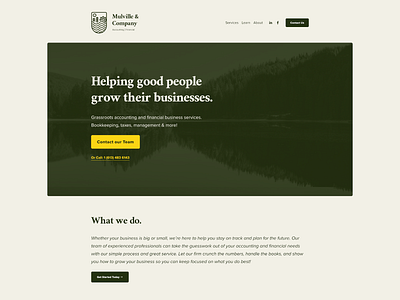 Mulville & Company / Website branding financial website