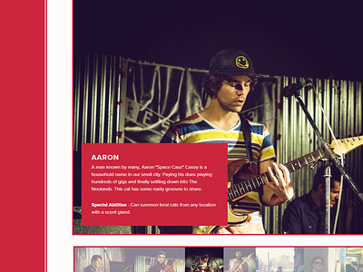 The Noolands Website - Part III band brand css minimal music red squarespace two tone website