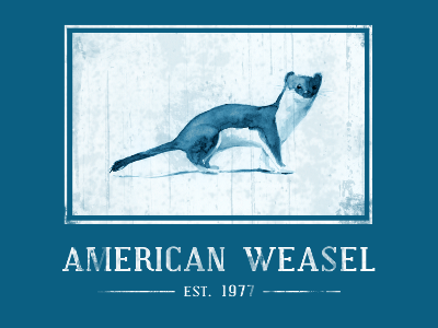 American Weasel - Est. 1977