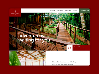 Jaguar Creek Website Design design agency ecotourism hotel minimal resort tourism typography ui web design web design agency web development website