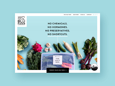 BluFarm Organics Website colorful custom design design agency minimal ui ux web design web design agency web development