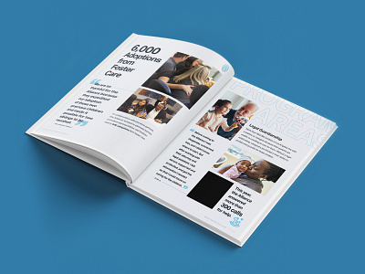 Alliance Annual Report Mockup