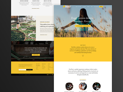 10 Thousand Windows - Nonprofit Website Design branding design agency illustration minimal ui web design web design agency