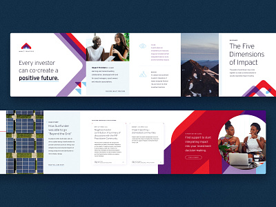 Impact Frontiers - Stylescape design design agency nonprofit web design web design agency web development