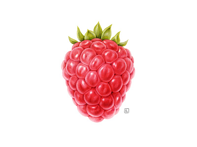 Raspberry