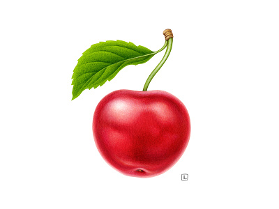 Cherry advertising airbrush botanical dairy design drawing food food illustration fruit handmade illustration naturalistic packaging pencil