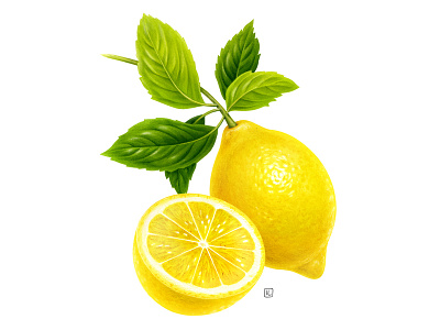 Lemon advertising airbrush botanical botanical illustration dairy design drawing food food illustration handmade illustration label naturalistic pack packaging pencil plant