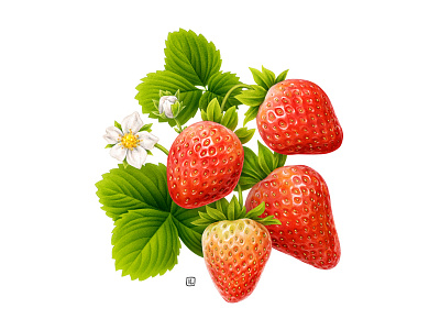 Browse Thousands Of Strawberry Logo Images For Design Inspiration Dribbble