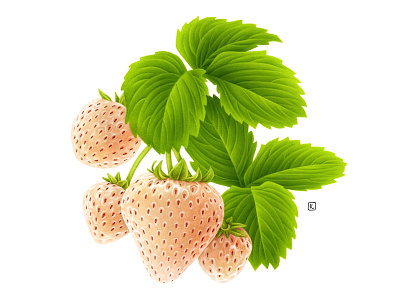 White Strawberry