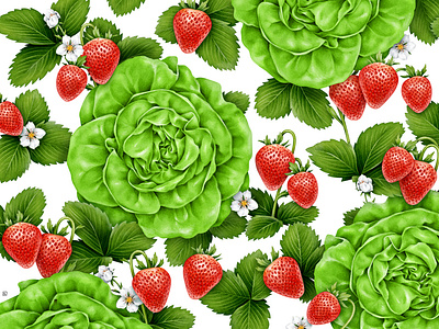 Salad & Strawberries x ORIGINS
