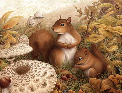 Underwood acrylic airbrush animal autumn botanical drawing fungi handmade illustration mushroom naturalistic pencil squirrel vintage watercolor wood