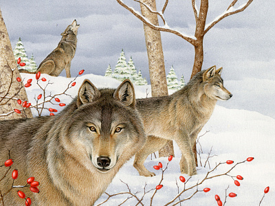 Wolves advertising airbrush animal animal art animal illustration art design drawing handmade illustration ink mountain naturalistic rose snow vintage wip wolf wolves