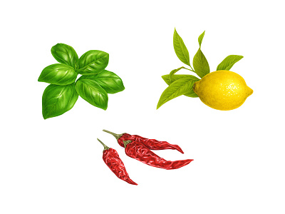 basil, lemon and chili pepper advertising botanical branding food fruit illustration label naturalistic oil packaging plant