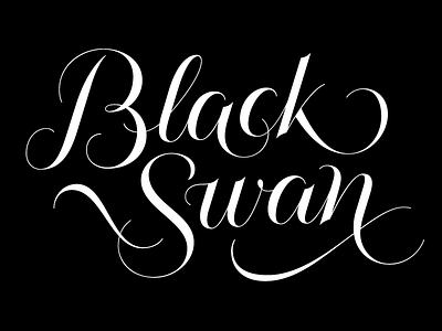 Black Swan lettering letters script type typography