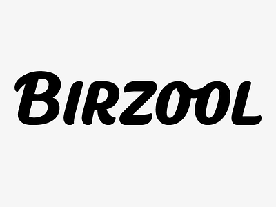 Birzool branding lettering letters logo logotype type typography