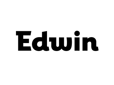 Edwin lettering letters logo logotype type typography