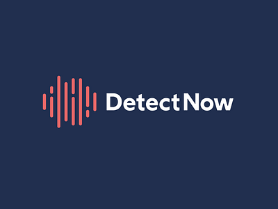 DetectNow Logo Design, Branding, Visual Identity