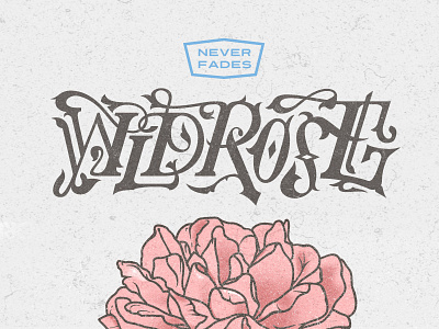 WILDROSE custom illustration lettering retro rose signwriting type typography vintage