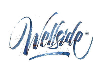 Wellside® logo calligraphy custom lettering energy expressive handwritting logotype power power lettering