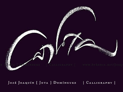 © José Joaquín [ Jota ] Domínguez art brand brushcaligraphy brushlettering calligraphy hand writing lettering logo logotype script logo